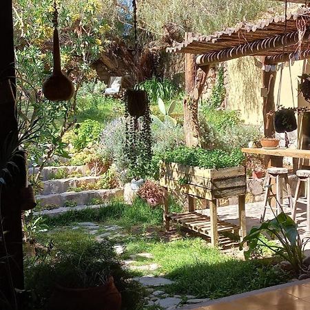 Apartamento En El Vivero Tilcara Dış mekan fotoğraf
