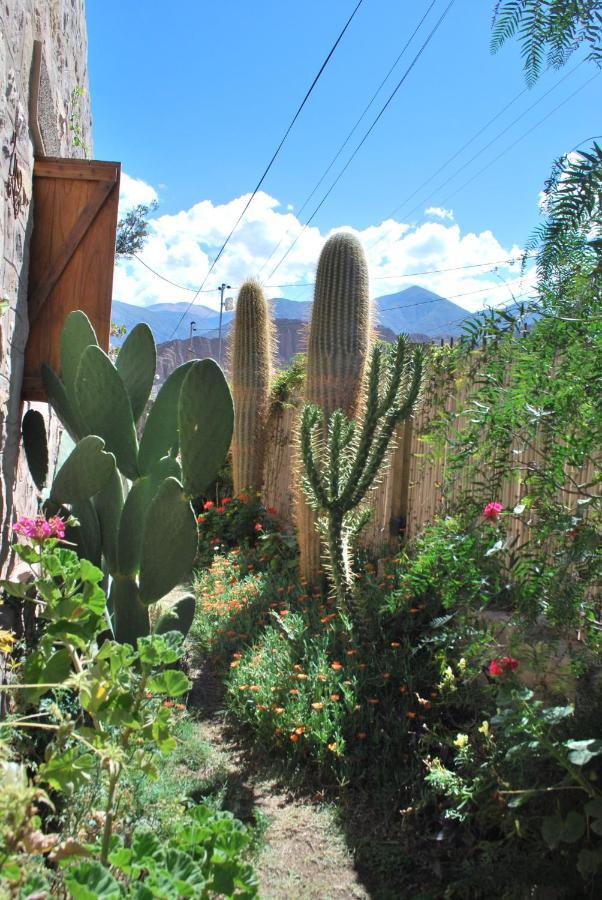 Apartamento En El Vivero Tilcara Dış mekan fotoğraf