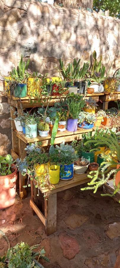 Apartamento En El Vivero Tilcara Dış mekan fotoğraf